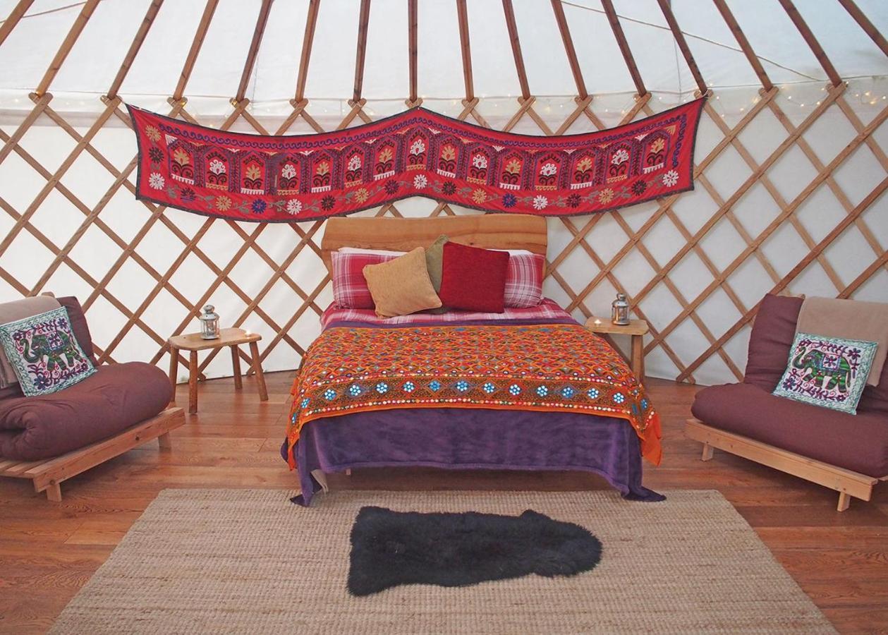 Florence Springs Glamping Gumfreston Eksteriør billede